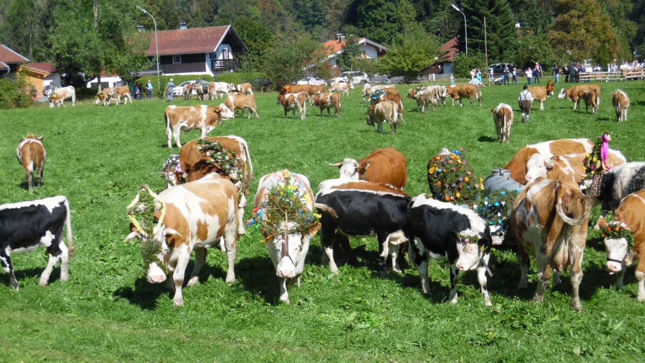 Ferienwohnung Fritzenwenger Übersee Zewnętrze zdjęcie