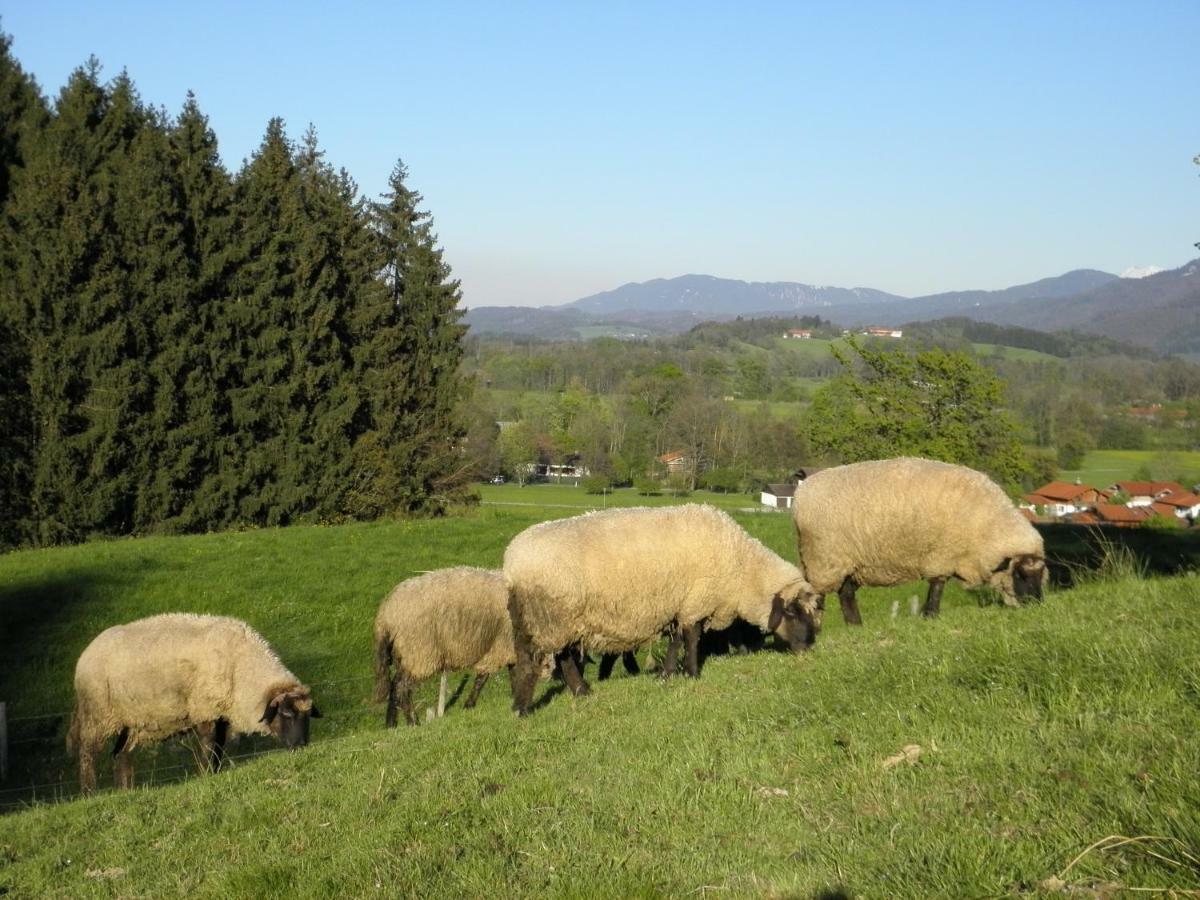 Ferienwohnung Fritzenwenger Übersee Zewnętrze zdjęcie
