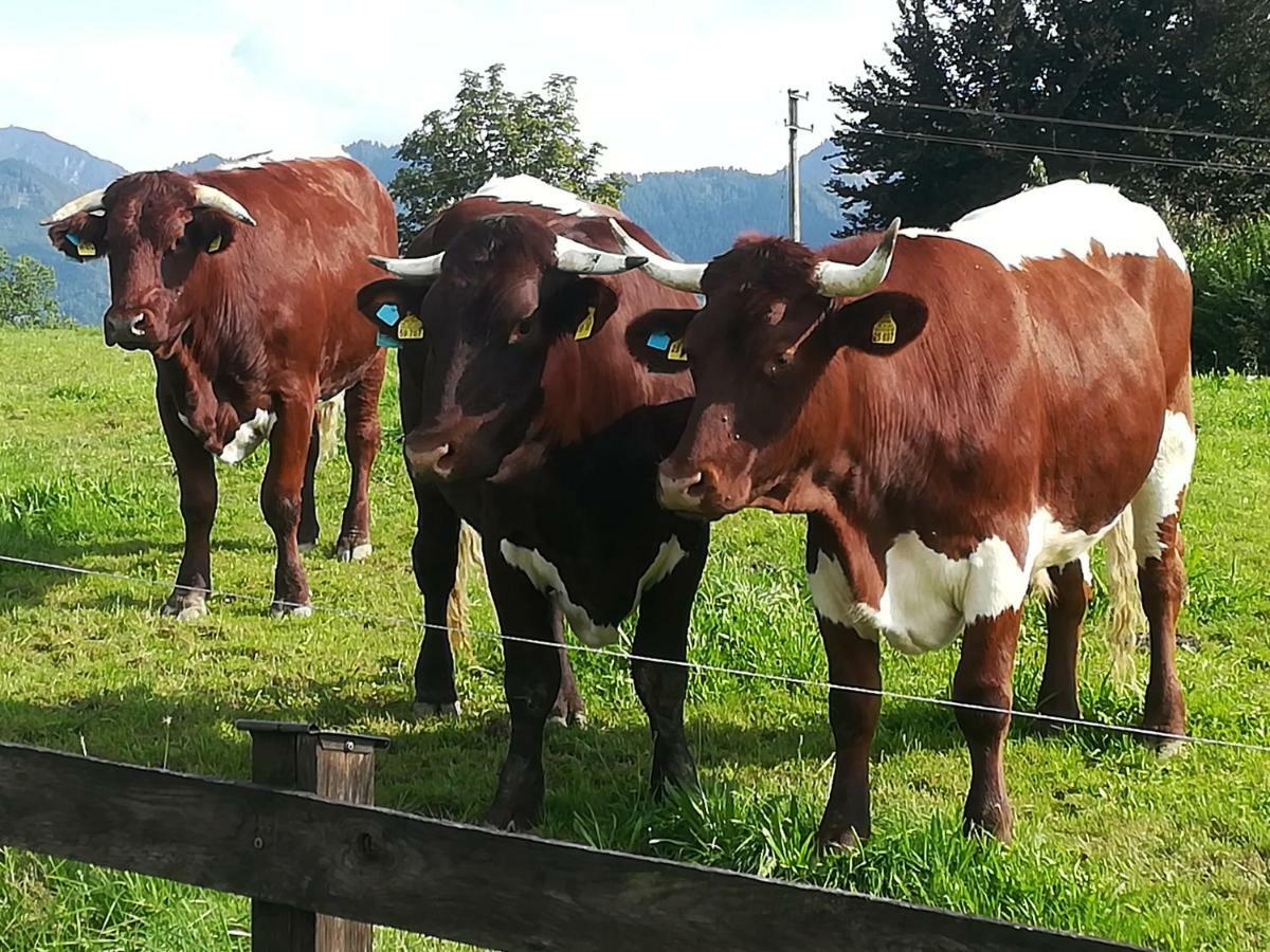 Ferienwohnung Fritzenwenger Übersee Zewnętrze zdjęcie